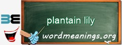 WordMeaning blackboard for plantain lily